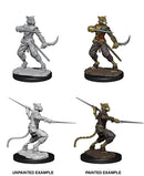 D&D Miniatures (Unpainted) - Player Characters (Rogues)