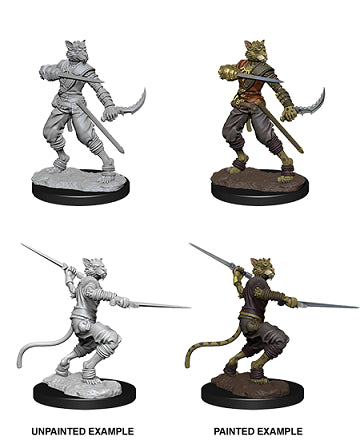 D&D Miniatures (Unpainted) - Player Characters (Rogues)