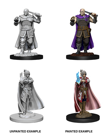 D&D Miniatures (Unpainted) - Player Characters (Double)