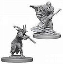 D&D Miniatures (Unpainted) - Player Characters (Druids)