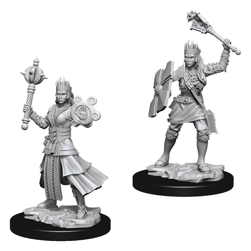 D&D Miniatures (Unpainted) - Player Characters (Clerics)