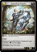Sanctified Paladin (135) [Radiant Origins]