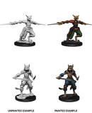 D&D Miniatures (Unpainted) - Player Characters (Rogues)