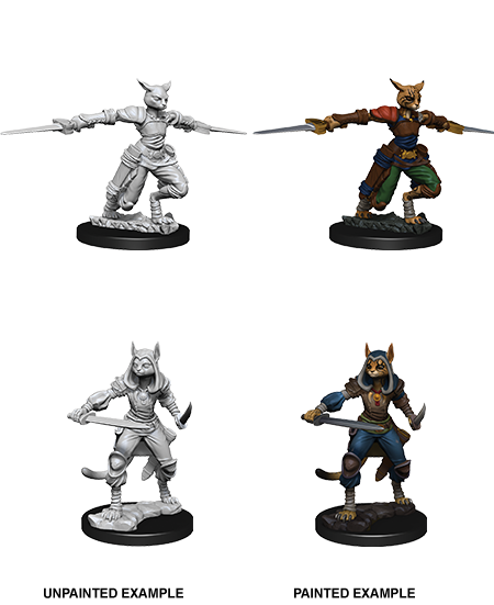 D&D Miniatures (Unpainted) - Player Characters (Rogues)