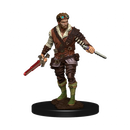 D&D Miniatures (prepainted)