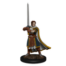 D&D Miniatures (prepainted)