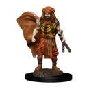 D&D Miniatures (prepainted)