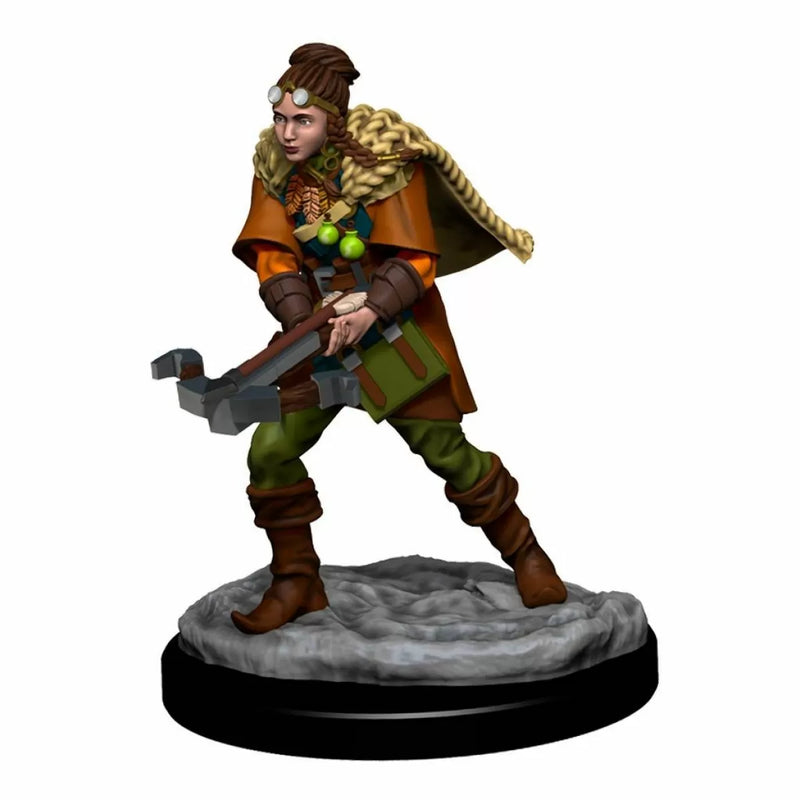 D&D Miniatures (prepainted)