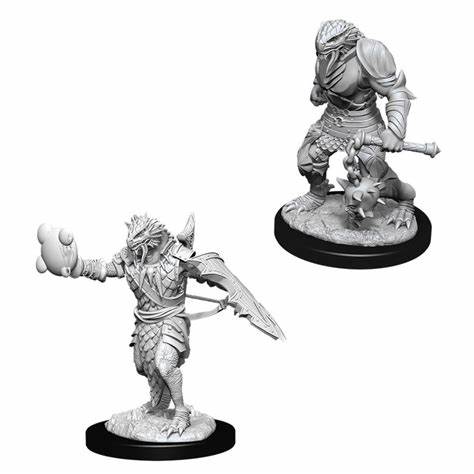 D&D Miniatures (Unpainted) - Player Characters (Paladins)