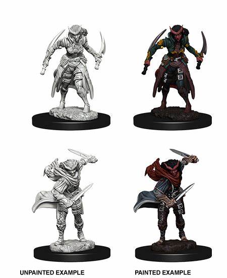 D&D Miniatures (Unpainted) - Player Characters (Rogues)