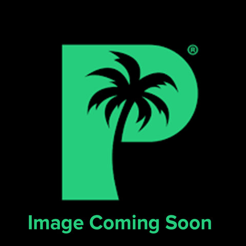 Palms Off - Artist Series Mega Capacity Binder Starve (16 Pocket)