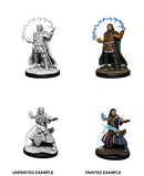 D&D Miniatures (Unpainted) - Player Characters (Wizards)