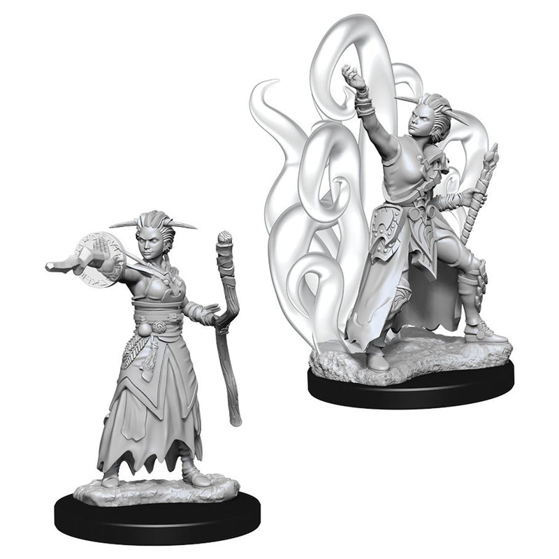 D&D Miniatures (Unpainted) - Player Characters (Warlocks)