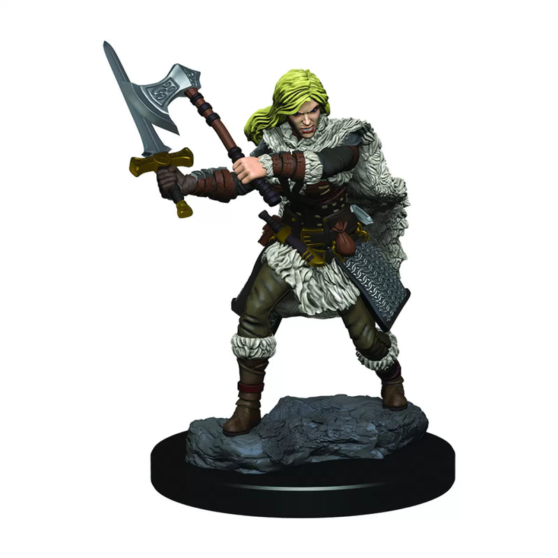 D&D Miniatures (prepainted)