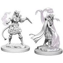 D&D Miniatures (Unpainted) - Player Characters (Sorcerers)