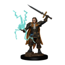 D&D Miniatures (prepainted)