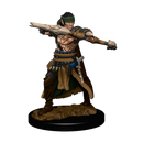 D&D Miniatures (prepainted)