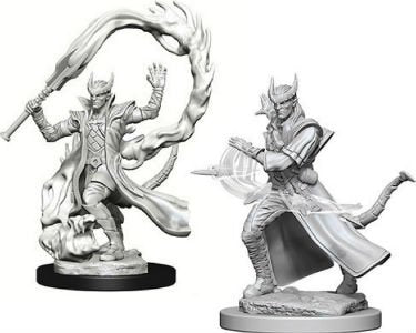 D&D Miniatures (Unpainted) - Player Characters (Sorcerers)