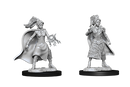 D&D Miniatures (Unpainted) - Player Characters (Sorcerers)